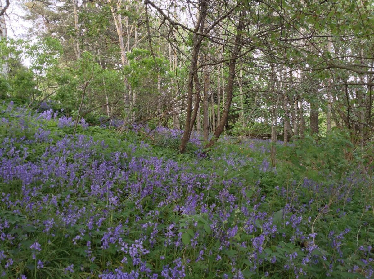 Dower House Newtonmore B&B Buitenkant foto